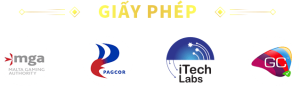 giấy phép hợp pháp